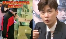 爆料视频李易峰最新版,揭秘明星私生活与事业新动向